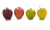Calendario de fruta de temporada: Manzana